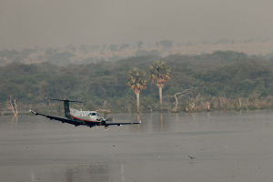 PC12-236